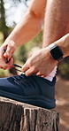 Workout, hands or tie shoes in forest to start trail running, fitness preparation or cardio safety. Runner legs, man and fasten sneakers in woods for exercise, jog comfort or getting ready with bokeh