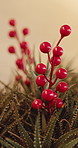 Decoration, cherry stem and christmas aesthetic in home for holiday, celebration or party. Tradition, xmas and artificial flowers with plants for creative festive ornament for event in apartment.