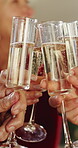 Christmas, hands and cheers in home with champagne, festive celebration and family tradition together. People, toast and alcohol drinks at party with glasses, social gathering and xmas holiday event.