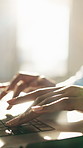 Businesswoman, hands and typing in office with laptop, administration and financial report for audit. Person, draft proposal and research in workplace with computer, accounting review and planning.