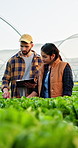 People, farmer and plants with clipboard in greenhouse for agriculture, inspection and growth report. Team, checklist and vegetables for food production, quality assurance and information for harvest