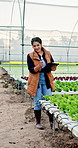 Woman, farmer and vegetables with clipboard in greenhouse for agriculture, inspection and growth report. Person, checklist and plants for food production, quality assurance and information on harvest