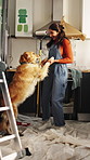 Dog, excited or Indian woman in home with renovations, pet care or bonding with paint maintenance. Love, dance or person with golden retriever, connection or kitchen remodeling with animal companion.