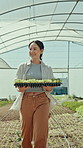 Happy woman, walk and sprouts with tray in greenhouse for farming, sustainability and food production. Person, smile and thinking with organic plants, seedlings and eco friendly farmer with crops