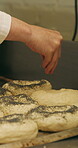 Baking, rolls and sesame seeds with woman chef in kitchen for preparation or production. Cooking, pastry and sprinkle with mature baker at counter in commercial bakery for ingredients or recipe