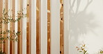 Wood, fence and architectural background with outdoor structure, building wall or eco friendly design. Backyard exterior, minimal and home, residential property and sustainable beams in garden