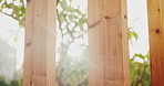 Backyard, plants and conservation with fence design for architecture, property boundary and privacy. Morning, flare and wood pillars for residential exterior, outdoor structure and enclosure border