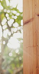 Backyard, sunshine and conservation with fence design for architecture, property boundary and privacy. Morning, flare or wood pillars for residential exterior, outdoor structure or security enclosure