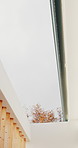 Exterior, skylight or architecture of home with boundary wall, sunlight or minimalistic design for building. Modern aesthetic, wood and shaft with open, house or natural lighting for property