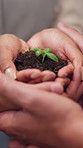 Hands, business people and team with plant for sustainability, growth and support for climate change. Sprout, earth day or soil for green conservation, group collaboration or eco friendly environment