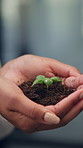 Hands, woman and plant for sustainability, growth and support for environment protection. Green conservation, earth day or business person with seedling, climate change or eco friendly development