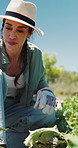 Happy, plant and woman with soil, growth and agriculture for nature, sustainability or earth day. Mature person, fertilizer and farmer with seedling for eco friendly, environment or farming business