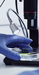 Scientist, hands and microscope screening of leaf for plant disease, fungal infection and study. Pathology, man and computer with sample analysis in lab for medical research, innovation or experiment
