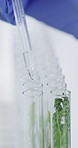 Hands, pipette and scientist with plants in vials at laboratory for pharmaceutical development. Person, medical research and biologist with gloves for horticulture or botany with herbs in cylinder.