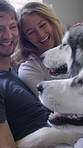 Laughing, couple and dogs in bedroom for bonding, animal companion and relax together for connection. Support, security and happy people with stroke for wellness, pet admiration and resting in home