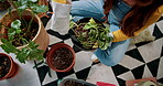 Pot, hands and planting with woman in home for gardening, soil health or horticulture hobby. Eco friendly, leaf and growth with above of person in living room of house for botanical maintenance 
