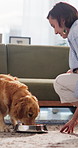 Eating, happy woman and dog with food in home for pet kibble, animal care and vitamins for growth. Affection, owner or feeding golden retriever on carpet for nutrition, healthy development or bonding