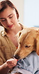 Happy, sofa and woman with treats for dog for bonding, learning and training together on weekend. Pet, home and person with Golden Retriever with food reward for trust, connection and affection