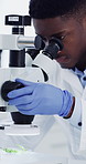 Scientist, man and plant in petri dish with microscope, inspection or research pharmaceutical benefits. Black person, science test and biotech in lab with tools, leaf sample and examine for medicine.