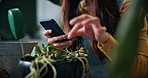 Florist, scroll and hands with phone in house, inspection or plant research for sustainable business. Entrepreneur, indoor garden and person with mobile for online shop, typing and quality assurance