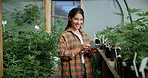 Marijuana, face and happy woman with tablet for farming, growth records and production in greenhouse. Cannabis, tech and person in conservatory, agriculture and medicinal plants for quality control