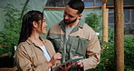 Farmer, people and tablet in greenhouse with discussion, marijuana production and plan for weed growth. Team, collaboration and scroll with tech for cannabis research, agriculture and small business.