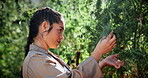 Cannabis, inspection or woman with bush in greenhouse, hemp production or leaf evaluation for farming. Agriculture, weed growth or person with assessment for disease check, pest control or plant care