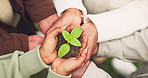 Above, soil and hands of people with plant for conservation, earth day and sustainability outdoor. Nature, circle and group with seedling in fertilizer for eco friendly, environment and ecology