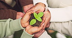 Above, soil and hands of people with sprout for conservation, earth day and sustainability outdoor. Nature, circle and men with women with plant in fertilizer for eco friendly, environment or ecology