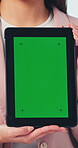 Green screen, hands and tablet with woman in studio for advertising or marketing opportunity. Closeup, display or mockup space and person with tech closeup for digital information or presentation