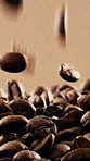 Roasted, coffee beans and falling harvest with seeds, production and organic textures for caffeine. Rustic, granules and arabica grain for manufacturing, process and rich flavor on studio background