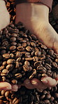 Hands, roasted and coffee beans with person for harvest, production and textures for caffeine. Supplier, granules and arabica grain for manufacturing process, quality control and espresso ingredients