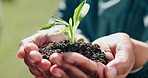 Hands, soil and person with sprout for growth, sustainability and environmental care for earth day. Outdoor, nature and man with plant for climate change support, conservation or eco friendly charity