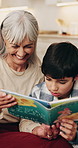 Boy, grandma and reading with story in home for cartoon book, literature or learning. Child kid or grandmother with novel or language for interaction, childhood development or education in house