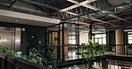 Sustainability, vacant and plants in agency with growth, botany and decor in eco friendly business. Empty, leaves and horticulture with greenery, natural workplace or floral care in corporate company