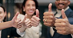 Hands, business and people in office with thumbs up, good news and success for real estate. Face, team and hand gesture in workplace for agreement, positive feedback and achievement for sold property