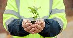 Construction, sustainability and hands with plant, outdoor or green architecture development on site. Natural, growth and person with leaves, civil engineering and eco friendly property opportunity
