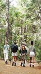 Hiking, travel and back of people in forest for trekking, backpacking and walking for tourism. Friends, outdoor and men with women on nature trail for fitness, exercise and adventure with fresh air