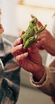 Hands, toy and grandmother with child on sofa for bonding, connection and relationship for development. Family, home and kid with frog, talking and learning animals with grandma on weekend together