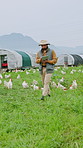 Man, walking and tablet on farm with chicken, livestock inspection and research for sustainability. Countryside, farmer and person outdoor with tech for agriculture, poultry and animal supervision.