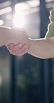 Office, vacancy and handshake with HR, people and onboarding process with meeting and achievement. Interview, success and shaking hands with candidate, flare and job opportunity or recruitment