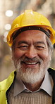 Face, smile and Asian man in warehouse as logistics manager with ppe, distribution or supply chain. Portrait, happy and mature person in shipping industry, quality control or safety with helmet