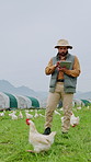 Farmer, man and tablet outdoor with chicken, livestock and AI platform for agriculture management. Animals, person and walk with tech innovation for agribusiness, poultry inspection or online report.