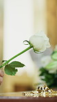 Flower, funeral and hands of person by coffin in church for remembrance, mourning or grief service. White rose, memorial and support in cathedral for burial ceremony for loss, sympathy or respect