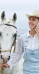 Phone call, horse and woman speaking at countryside, ranch management or grooming appointment. Mobile, cowgirl or happy person with funny contact for communication, walking or booking for animal care