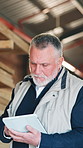 Carpenter, man and browsing in workshop with tablet, manufacturing and check online order for timber. Mature person, scroll and reading in factory with tech, email and invoice for lumber production.