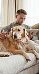Remote work, tablet and man with dog on sofa for research, web design and project in home. Happy, freelancer and person with Golden Retriever, tech and stylus for internet, website and digital app