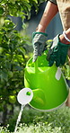 Water, plant and hands with woman in garden for eco friendly pesticide, botany and growth. Sustainability, fertilizer and soil wellness with person in backyard of home for nature, liquid and hobby