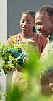 Check, plant and senior mother with daughter in garden for eco friendly inspection, botany and growth. Sustainability, smile and help with black woman in backyard of home for nature and hobby