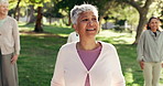 Yoga, class and stretching with old woman in park for fitness, wellness and workout lesson. Healing session, zen and warm up with group of people outdoor for holistic health, exercise and peace
